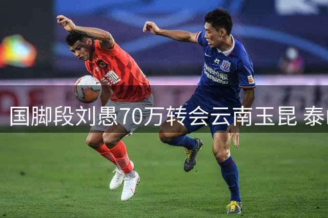 国脚段刘愚70万转会云南玉昆 泰山低价放人引球迷质疑