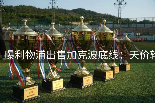 曝利物浦出售加克波底线：天价转会费+替代者双条件